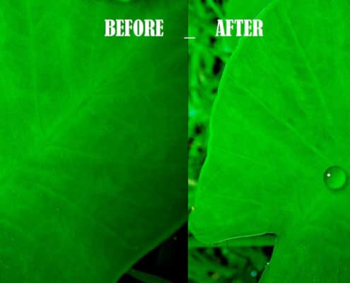 HOW TO MAKE WATER DROPS IN PHOTOSHOP