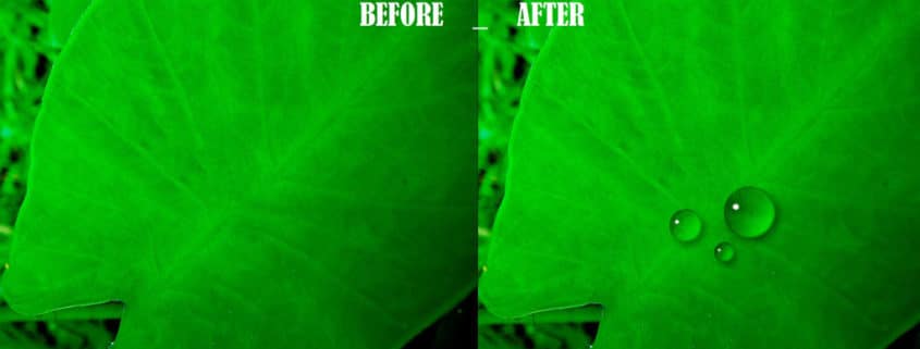 HOW TO MAKE WATER DROPS IN PHOTOSHOP