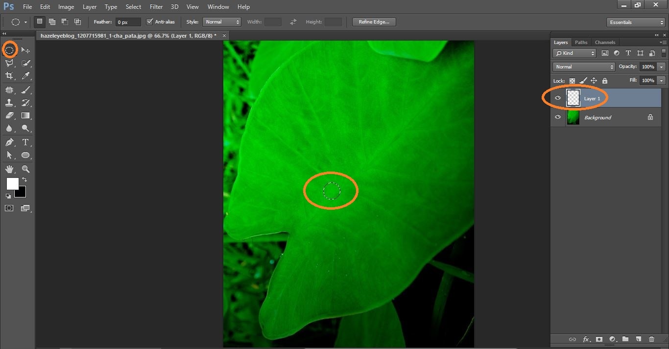 HOW TO MAKE WATER DROPS IN PHOTOSHOP