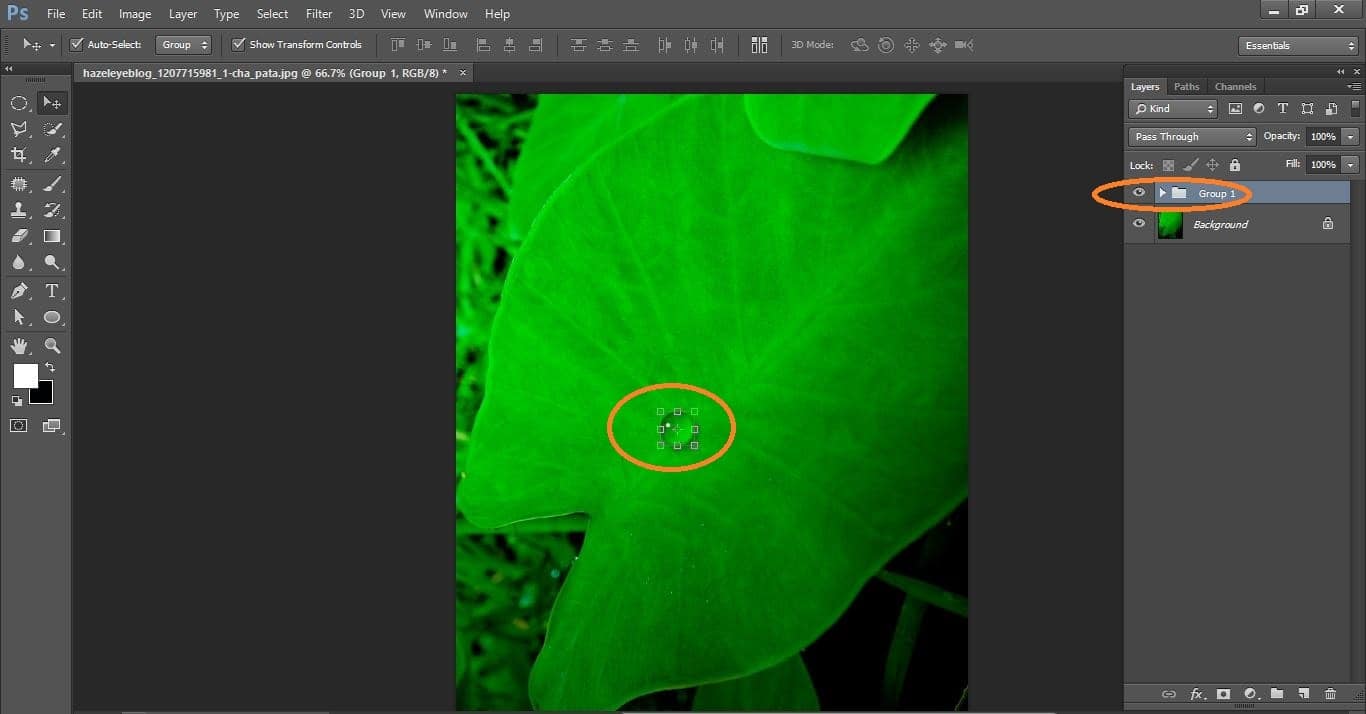 HOW TO MAKE WATER DROPS IN PHOTOSHOP