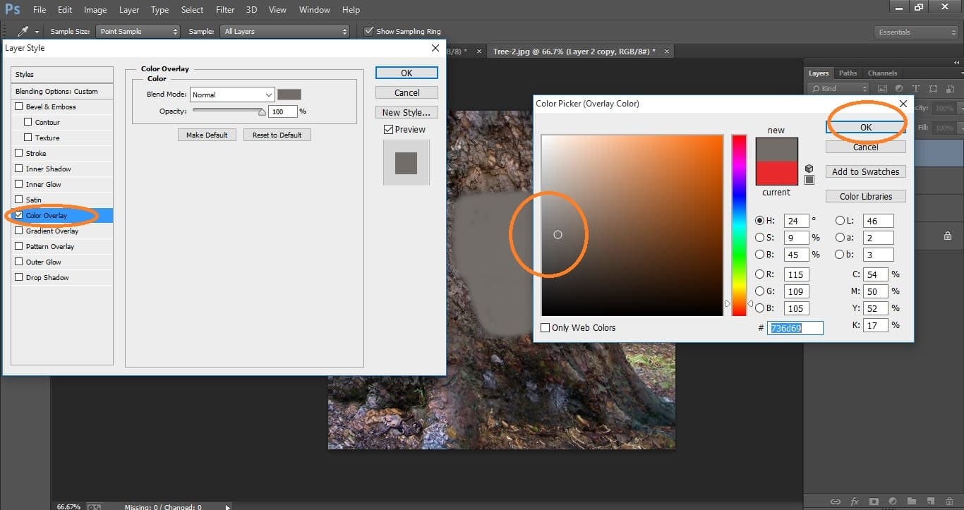 How to create Camouflage a Face onto Gnarly, TREE Bark - in Photoshop manipulation