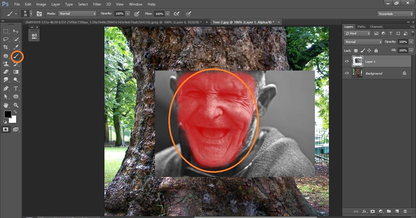 How to create Camouflage a Face onto Gnarly, TREE Bark - in Photoshop manipulation