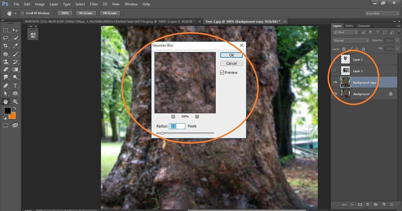 How to create Camouflage a Face onto Gnarly, TREE Bark - in Photoshop manipulation