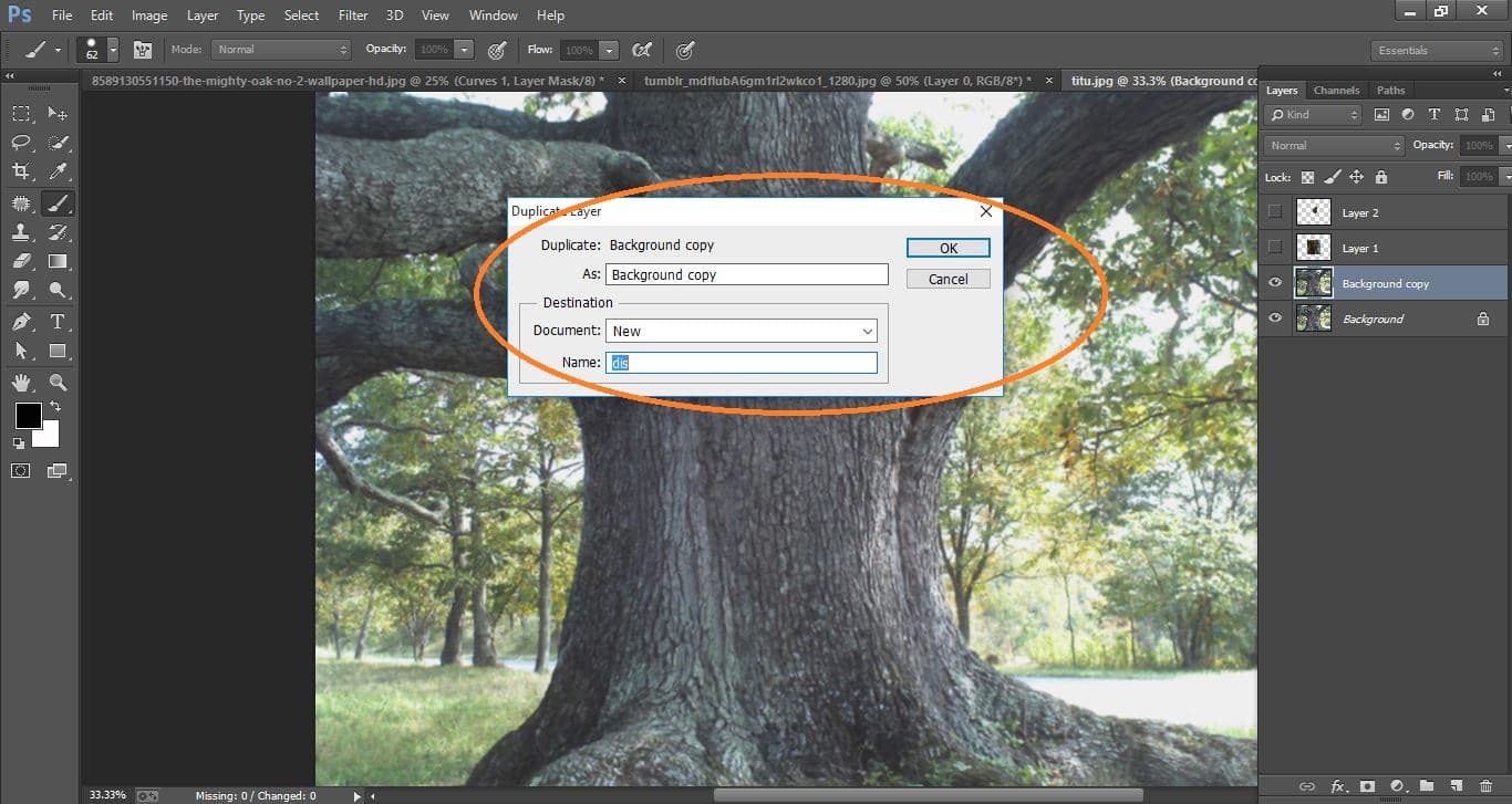 Photoshop cc manipulation