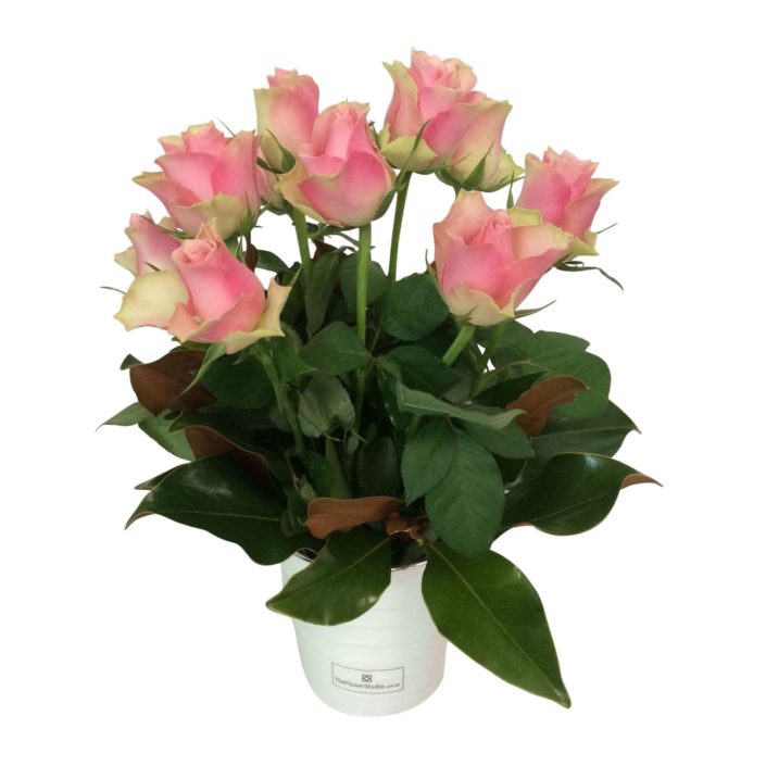 Remove background from image, Image editing company, Photo editing company, Photo editing services, Photo retouching services Remove background from image, Image editing company, Photo editing company, Photo editing services, Photo retouching services