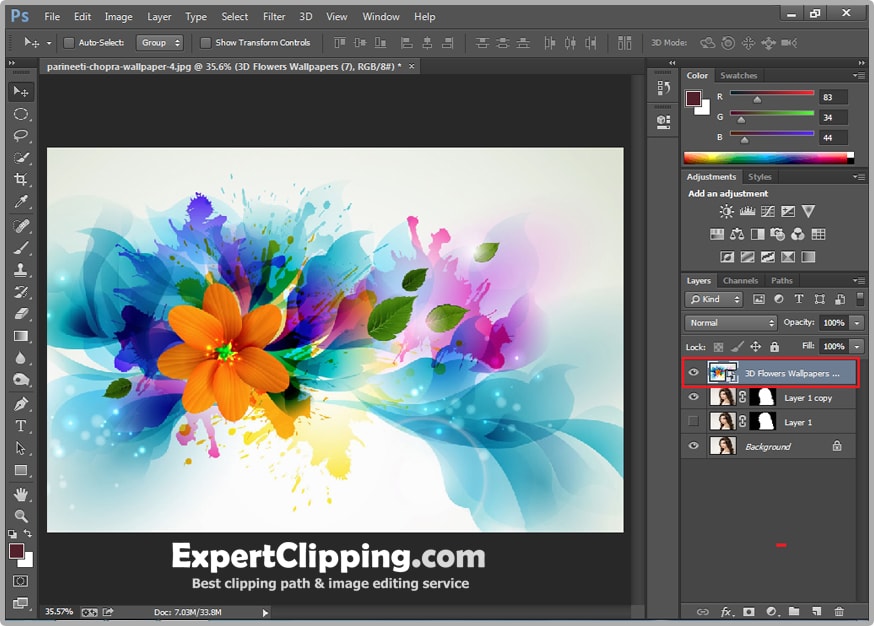 masking_ec_bgc-4-min