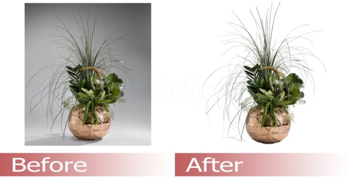 Clipping path service, Clipping path service provider, Clipping path services, Clipping path Service Company, Remove background from image, Image editing company, Photo editing company, Photo editing services, Photo retouching services Clipping path service, Clipping path service provider, Clipping path services, Clipping path Service Company, Remove background from image, Image editing company, Photo editing company, Photo editing services, Photo retouching services