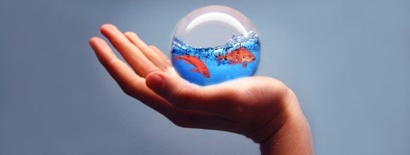 How To Create A Water Splash Photo Manipulation In Photoshop