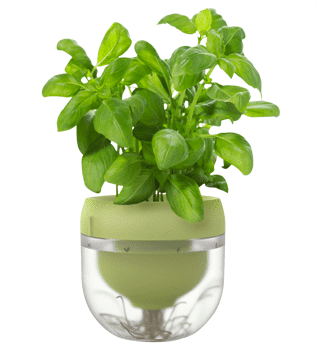 Clipping path services, Clipping path Service Company, Remove background from imag